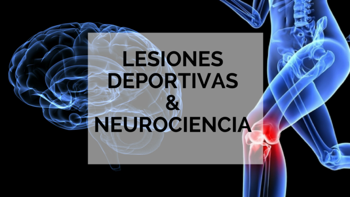 Readaptación funcional de lesiones deportivas: una visión neurocientífica.