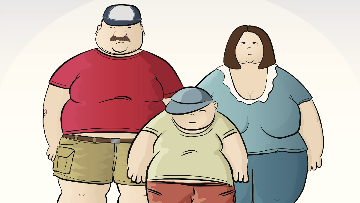 Obesidad: un enfoque multifacético: un problema: diferentes modelos, diferentes ideas y soluciones
