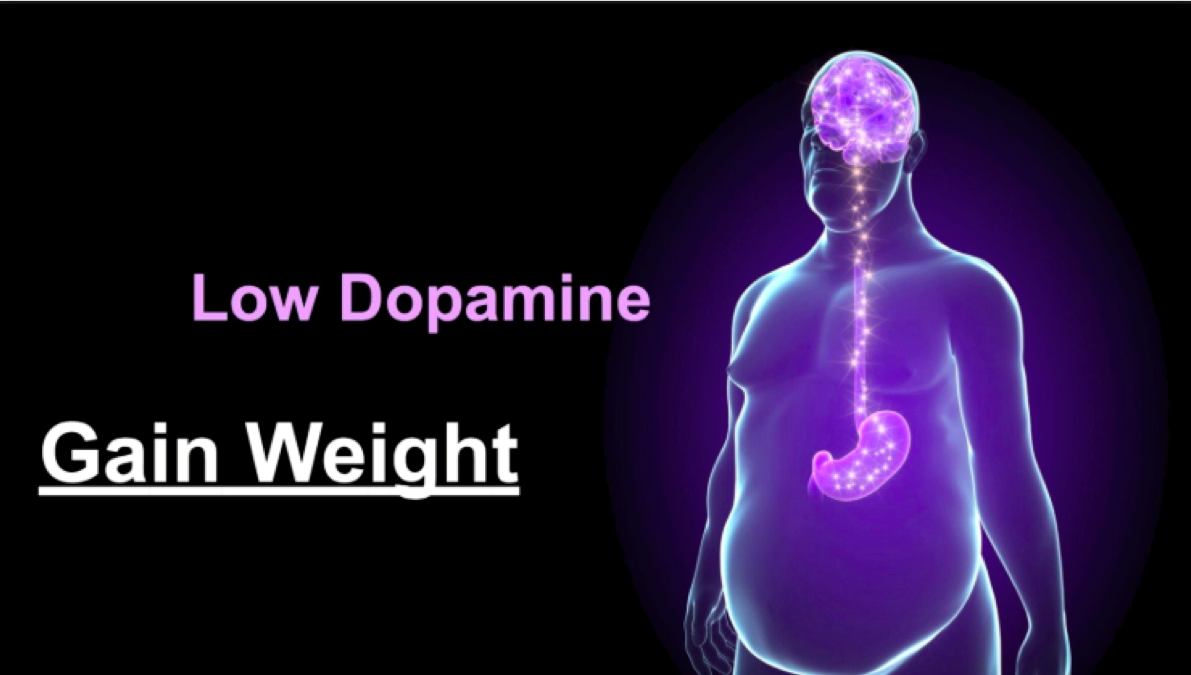 ​Dopamina y fructosa en la obesidad