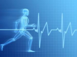 El ejercicio físico en la prevención y la rehabilitación cardiovascular