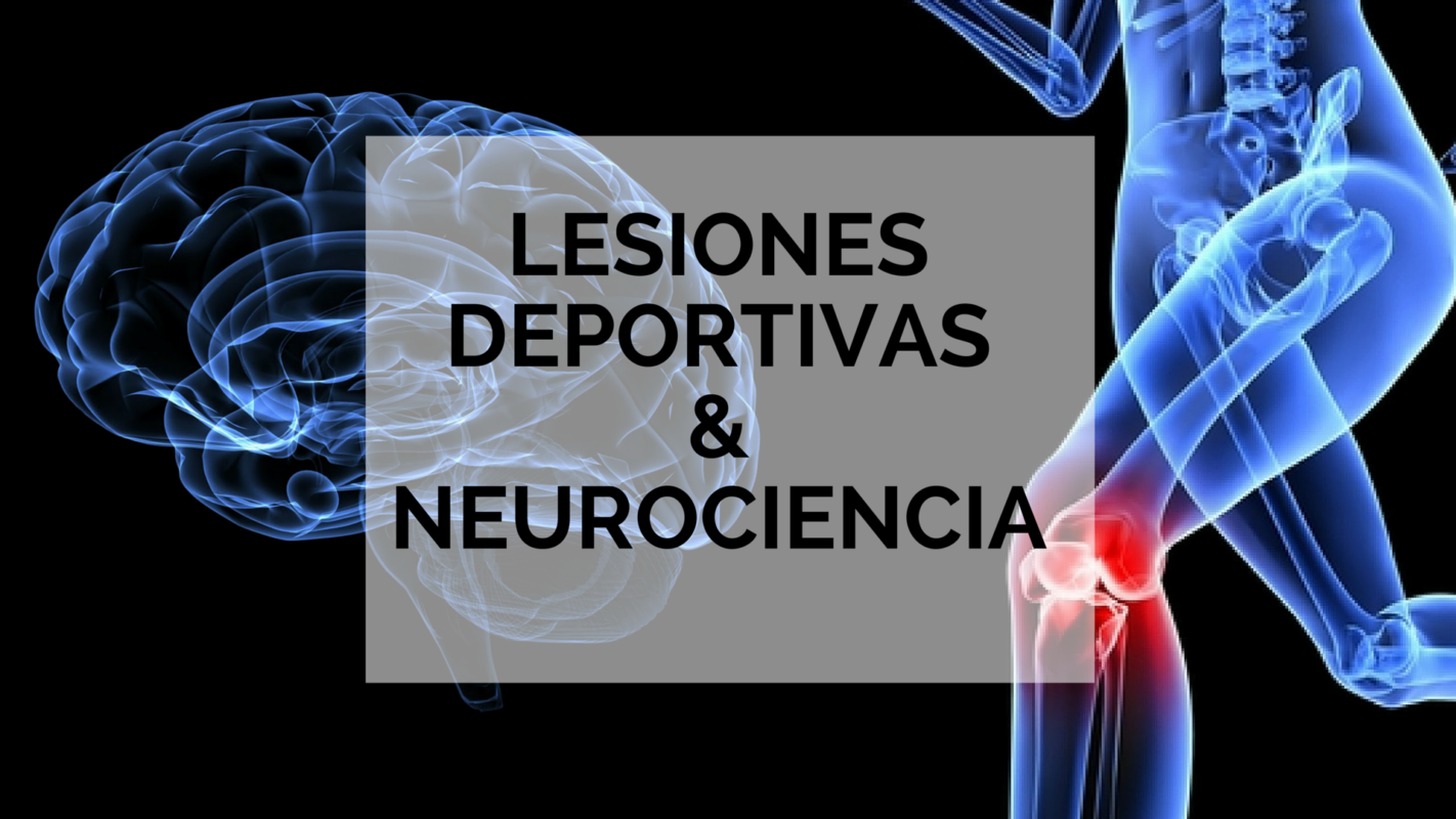 Readaptación funcional de lesiones deportivas: una visión neurocientífica.