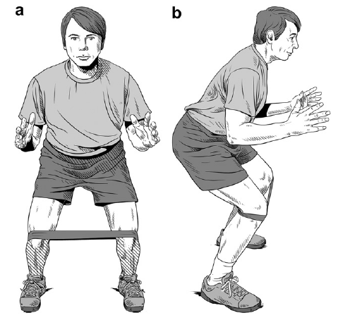 Hip muscle training