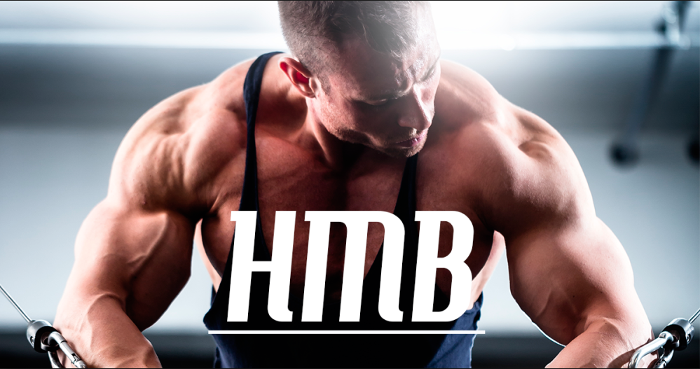 El HMB frente a la pérdida y ganancia de la masa muscular