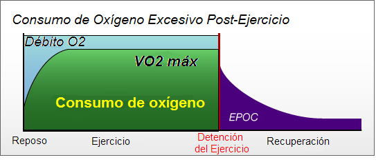 El efecto del volumen de carga de una sesión de entrenamiento de la fuerza sobre el EPOC en varones entrenados en fuerza