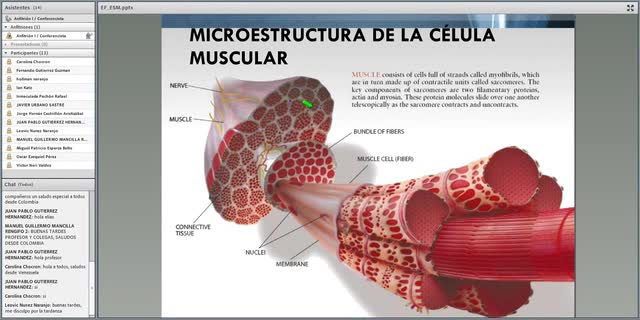 Fisiología del Músculo Esquelético