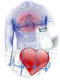 Los nuevos factores de riesgo cardiovascular y la actividad física