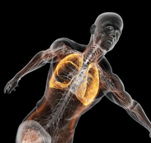 Efectos del entrenamiento de la musculatura respiratoria sobre el rendimiento.  Revisión bibliográfica
