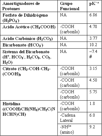 Amortiguación Ácido-Base Sanguínea: Explicación de la Efectividad de la Ingesta de Bicarbonato y Citrato
