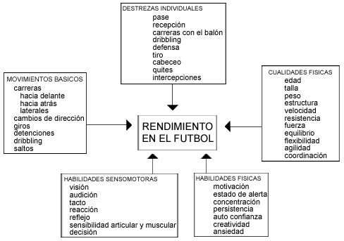 Aspectos Biomecánicos del Rendimiento en el Fútbol