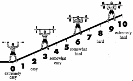Determinación de la Carga de Entrenamiento para la Mejora de la Fuerza orientada a la Salud (Fitness Muscular)