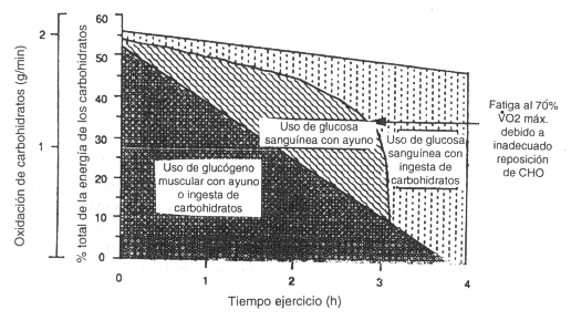 Elección del Tiempo y Método del Aumento de la Ingesta de Carbohidratos para hacer frente al Entrenamiento Intenso, la Competencia, y la Recuperación