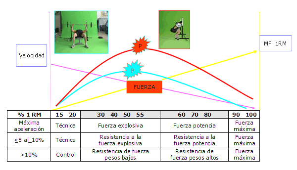 Entrenamiento de Fuerza en la Práctica Deportiva: Zonas de Entrenamiento y Ejercicios de Prevención