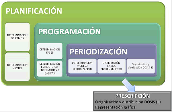 Planificación, Programación y Periodización de la Hipertrofia