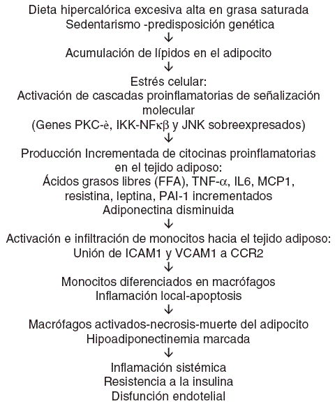 Planteamientos Actuales ante el Sobrepeso/Obesidad desde la Perspectiva de los Especialistas en Ejercicio Físico y Salud