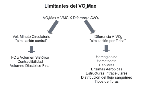 Revisión Bibliográfica sobre las Pruebas de Evaluación de la Potencia Aeróbica en Pruebas de Campo