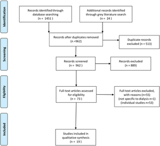 Physical activity and exercise recommendations for people receiving dialysis: A scoping review