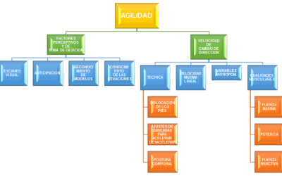 Bases para el Desarrollo de la Agilidad y los Cambios de Dirección como Elementos Específicos para la Mejora del Rendimiento y la Prevención de Lesiones en Deportes Colectivos