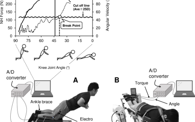 Relación Entre la Fuerza del Ejercicio Nórdico de Isquiotibiales y el Torque Máximo de Flexión de Rodilla Voluntaria Excéntrica, Concéntrica e Isométrica