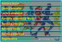 Algunos criterios para el establecimiento de zonas para el entrenamiento de resistencia