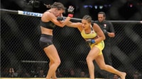 Caracterización de las Artes Marciales Mixtas
