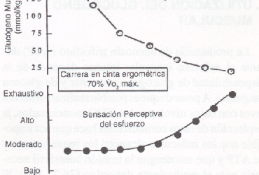 Carbohidratos para el Ejercicio: Demandas en la Dieta para un Rendimiento Óptimo