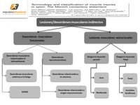 Clasificación y terminología en lesiones musculares deportivas
