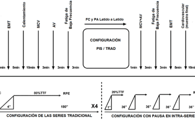 Configuración de las Series en el Ejercicio de Fuerza: Fatiga Muscular y Efectos Cardiovasculares