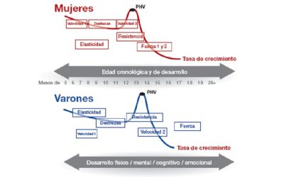 DESARROLLO A LARGO PLAZO DEL DEPORTISTA. ENTRENABILIDAD EN LA INFANCIA Y LA ADOLESCENCIA.