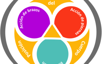 Entrenamiento básico de la técnica de crol (II): Contenidos, métodos y medios de entrenamiento (I).