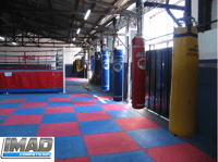 Entrenamiento de fuerza y fuerza explosiva para deportistas de combate.