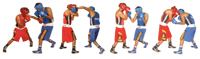 Estructura de la Sesión en Deportes de Combate
