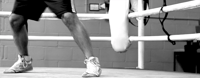 La Planificación a lo Largo de la Carrera de Boxeo Profesional