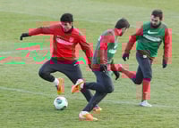 La estabilidad funcional: Respuesta específica a la demanda de estabilidad deportiva.