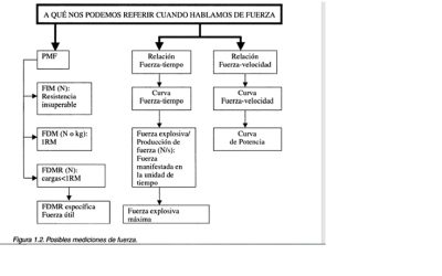 La fuerza y su clasificación.