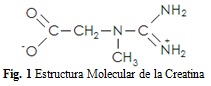 Monohidrato de Creatina