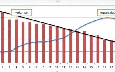 Periodización Lineal