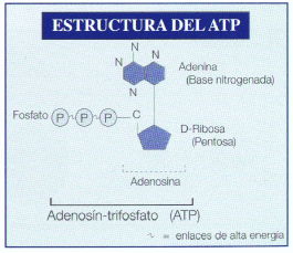 Sistemas Energéticos