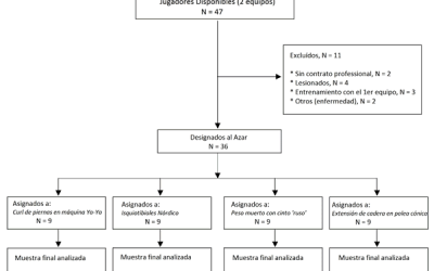 Uso Muscular Regional Basado en MRI Durante Ejercicios de Fortalecimiento de Isquiotibiales en Jugadores de Fútbol de Élite