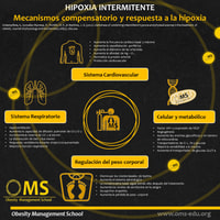 Utilidad de la combinación de hipoxia intermitente y ejercicio físico en el tratamiento de la obesidad.