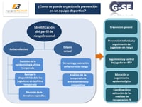 ¿Como se puede organizar la prevención en un equipo deportivo?