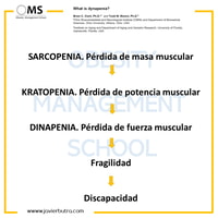 ¿Debemos reflexionar sobre la sarcopenia y la dinapenia?