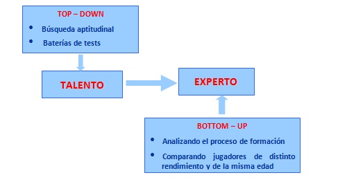 ¿Qué es un talento deportivo? - Grupo Sobre Entrenamiento