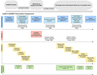 Un programa de rehabilitación multidimensional longitudinal para pacientes sometidos a trasplante alogénico de sangre y médula (CaRE-4-alloBMT): protocolo para un ensayo piloto controlado aleatorio de viabilidad de fase II