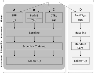 Aplicación del entrenamiento excéntrico en diversas poblaciones clínicas: Protocolo para un piloto multicéntrico y estudio de viabilidad en personas con lumbalgia y personas con esclerosis múltiple