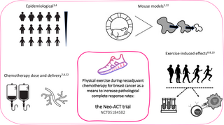 Ejercicio físico durante la quimioterapia neoadyuvante para el cáncer de mama como medio para aumentar las tasas de respuesta patológica completa: protocolo del ensayo aleatorizado Neo-ACT