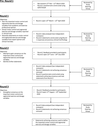 Consenso de expertos sobre el importante control motor del dolor de cuello crónico inespecífico y el ejercicio segmentario y las variables de dosificación: un estudio internacional e-Delphi