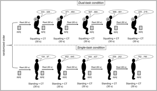 ¿Necesita la atención en cuclillas? Un estudio de doble tarea sobre recursos cognitivos en el ejercicio de resistencia