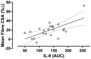 Correlatos musculares y sistémicos de la hipertrofia muscular inducida por el entrenamiento de resistencia