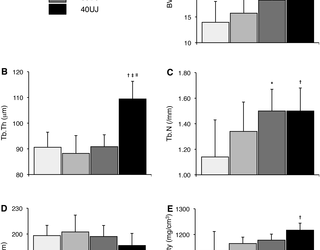Efectos de los diferentes tipos de impacto de salto en la masa ósea trabecular y la microarquitectura en ratas en crecimiento