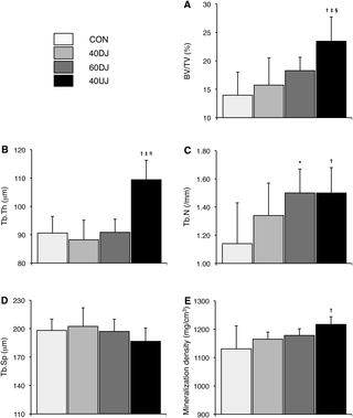 Efectos de los diferentes tipos de impacto de salto en la masa ósea trabecular y la microarquitectura en ratas en crecimiento
